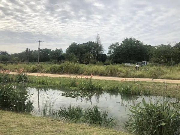 640 (13).jpg 640 (13).jpg